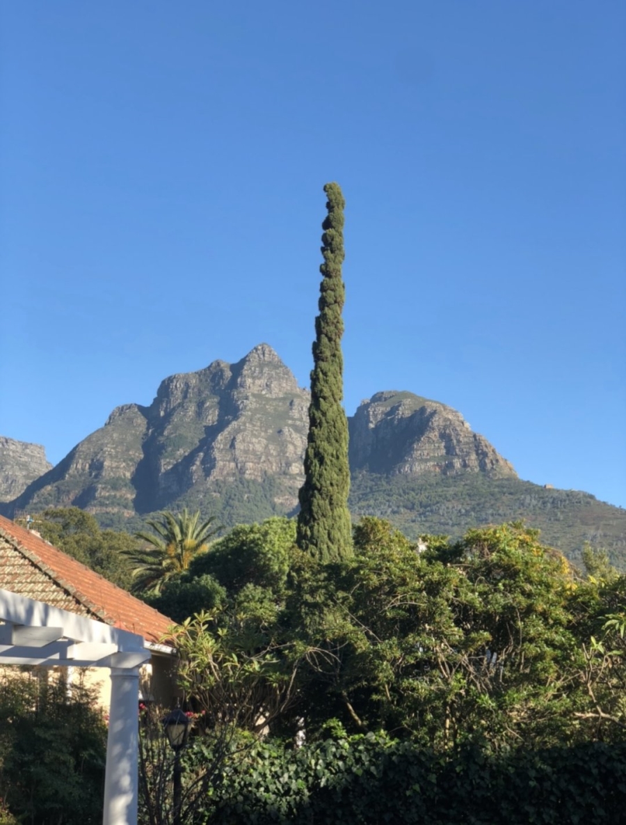 To Let 3 Bedroom Property for Rent in Rondebosch Western Cape